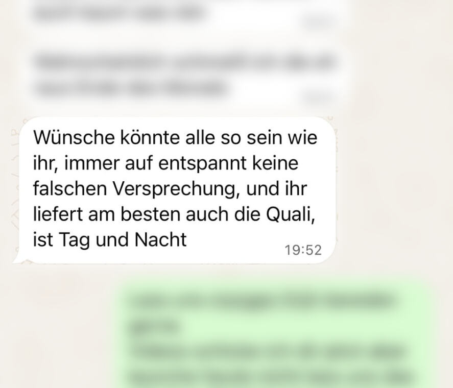 WhatsApp-Nachricht von Green Lion Energy an Auftragsheld